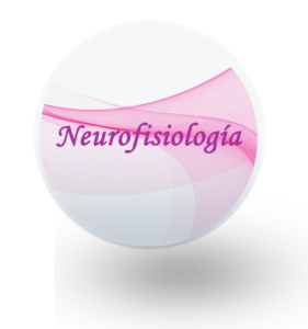 11 neurofisiologia